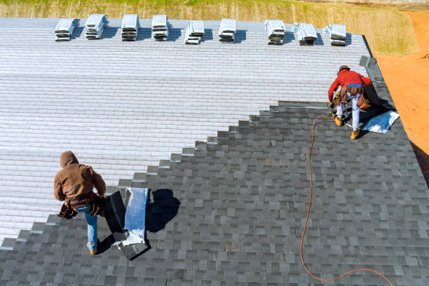 Best Roof Moss and Algae Removal  in River Road, WA