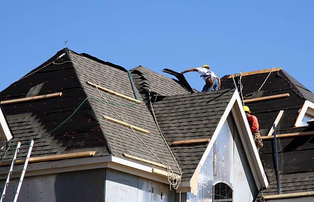 Best Roof Moss and Algae Removal  in River Road, WA